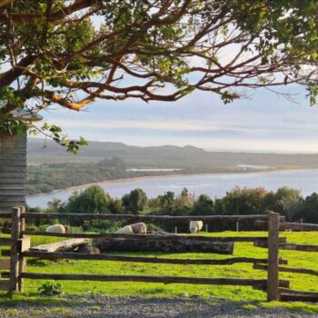 Chimango Caracara Lodge